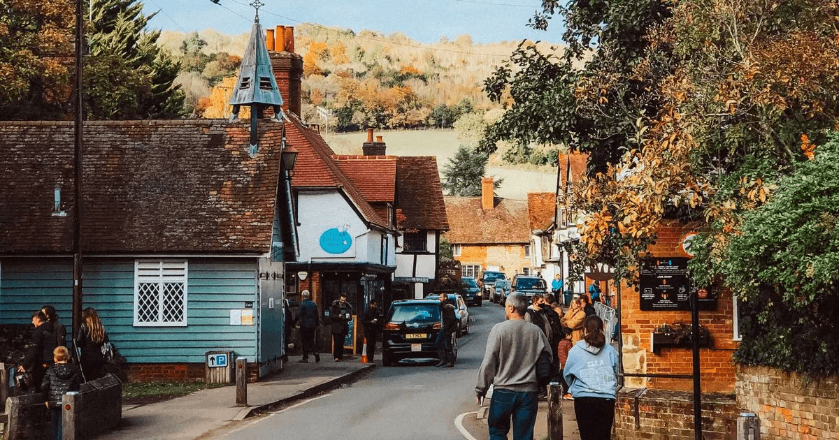 Inspired by the Bees: Natural Health Ltd's Connection to the Natural World