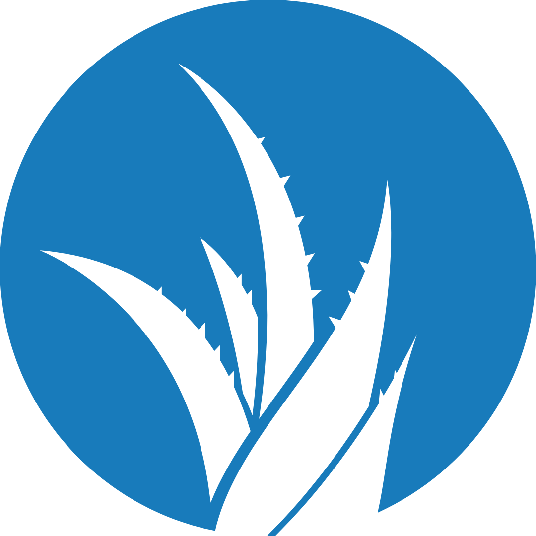 Aloe Vera Gel and Juice