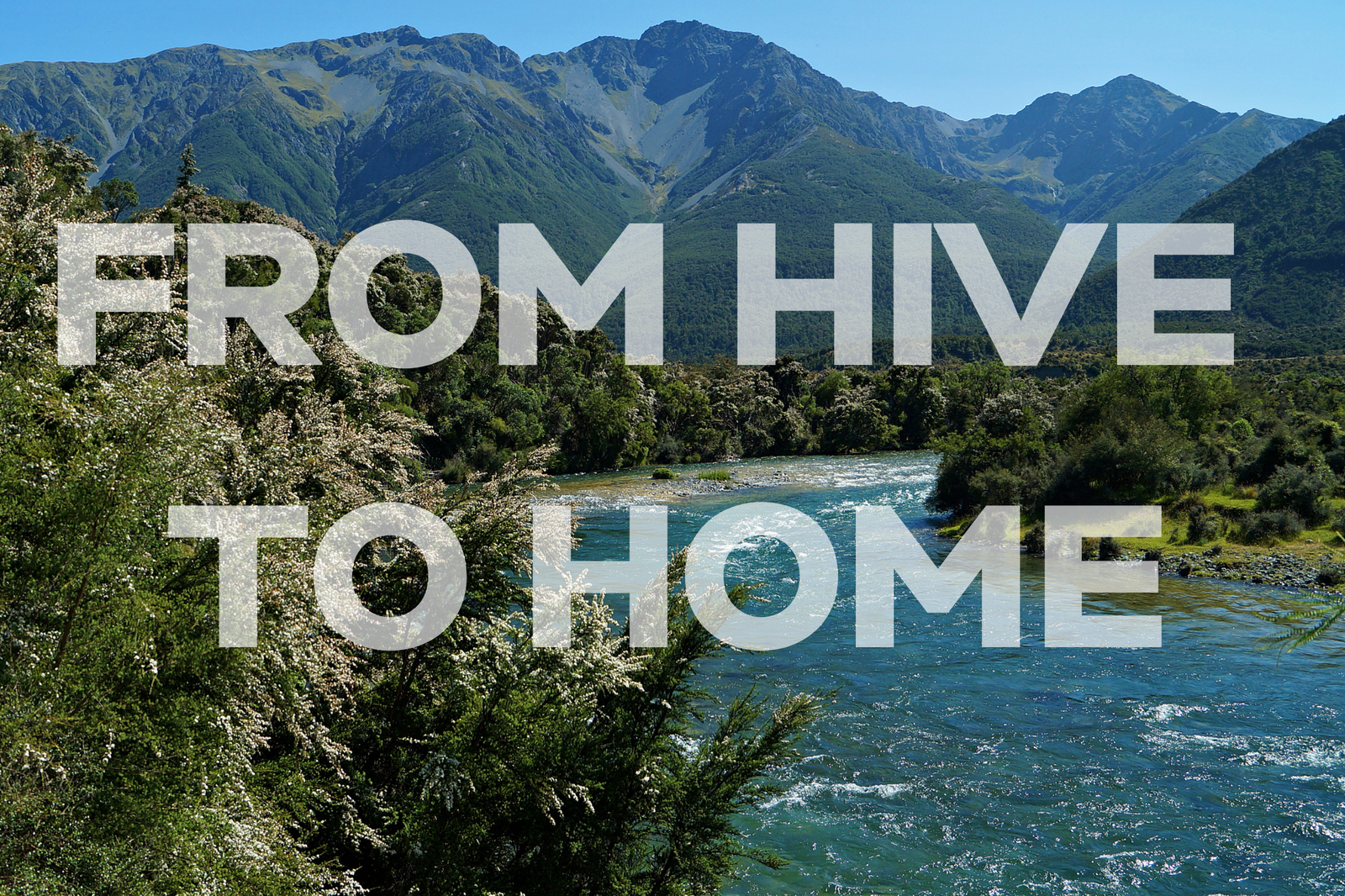 Wedderspoon Manuka Honey From Hive to Home