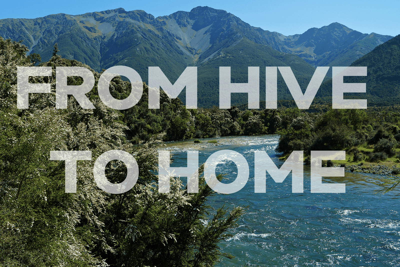 Wedderspoon Manuka Honey From Hive to Home