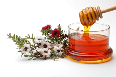 Glass bowl of golden honey with wooden dipper and Manuka flowers showing benefits of daily Manuka honey