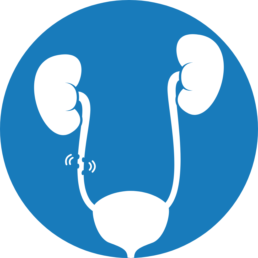 Urinary Tract Support