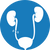 Urinary Tract Support