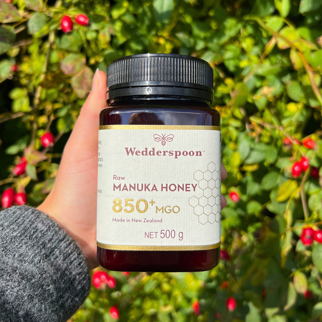 Wedderspoon jar of raw manuka honey 850 mgo held in hand with green and red berry background